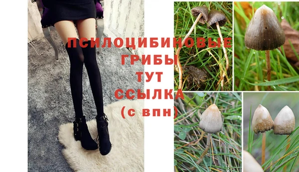 герыч Кукмор