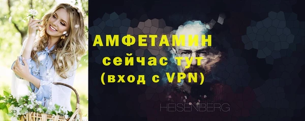 твердый Краснослободск