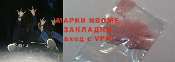 твердый Краснослободск