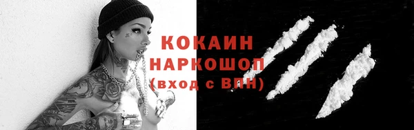 твердый Краснослободск