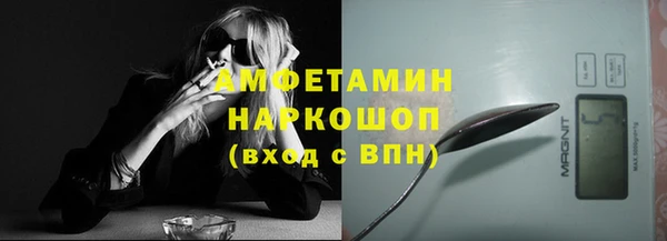 твердый Краснослободск