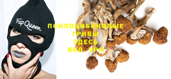 твердый Краснослободск