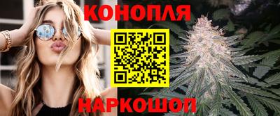 спайс Гатчина
